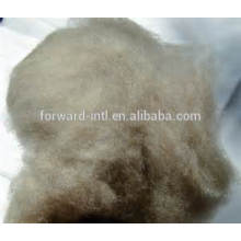 Inner Mongolian pure fine cashmere fiber competitive price